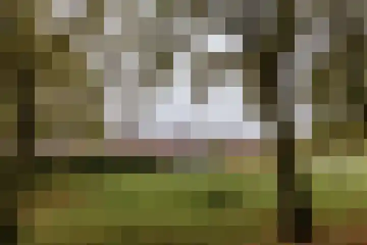 Op de Hoort 33 Herten thumbnail 48