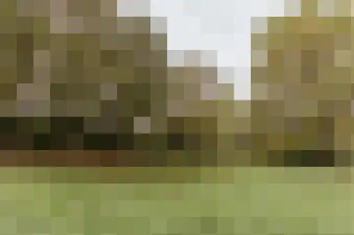 Op de Hoort 33 Herten thumbnail 49