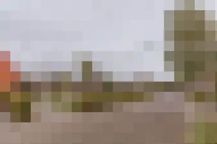 Op de Hoort 33 Herten thumbnail 50