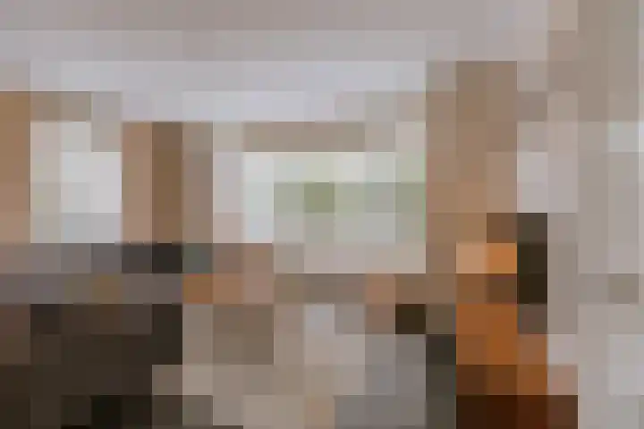 Op de Hoort 33 Herten thumbnail 8