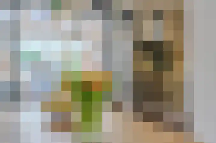 Op de Kamp 33 Broekhuizenvorst thumbnail 13