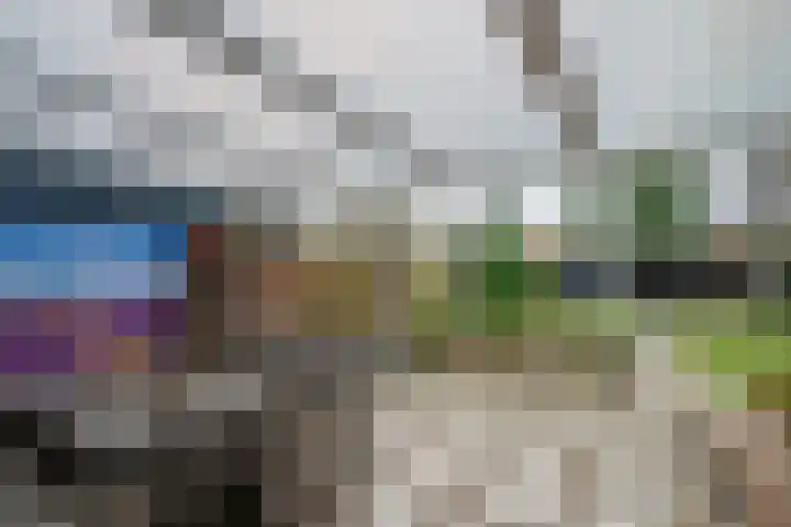 Op de Kamp 33 Broekhuizenvorst thumbnail 36