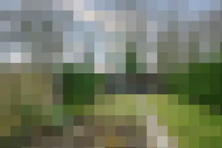 Op de Kamp 33 Broekhuizenvorst thumbnail 37