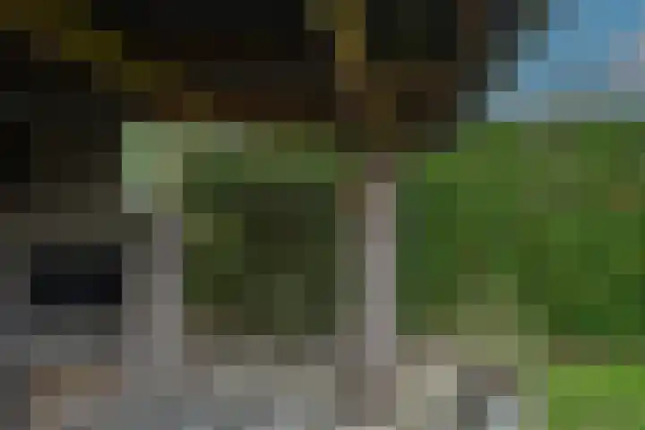 Op de Kamp 33 Broekhuizenvorst thumbnail 39