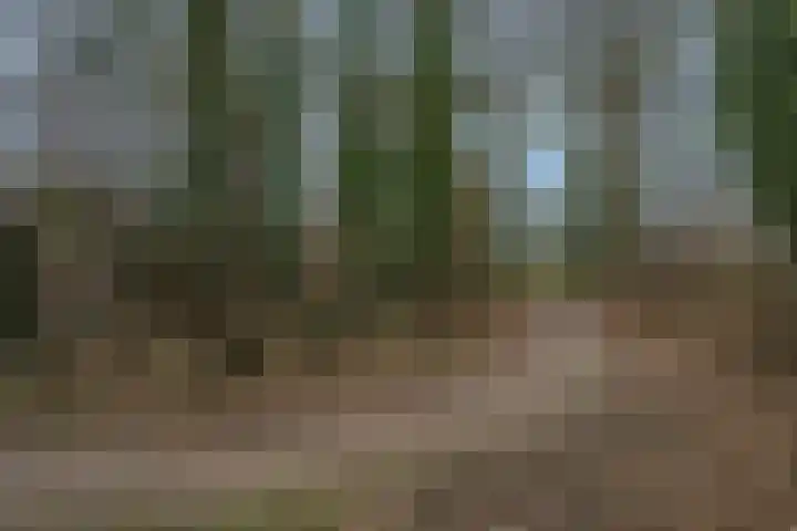 Op de Kamp 33 Broekhuizenvorst thumbnail 47