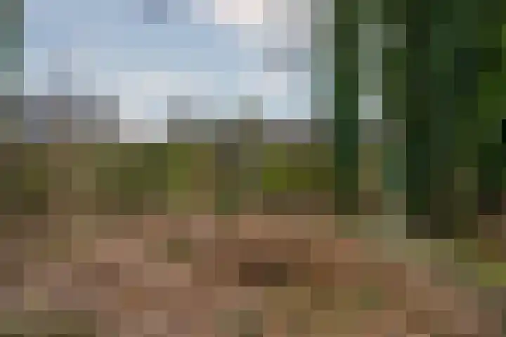 Op de Kamp 33 Broekhuizenvorst thumbnail 48