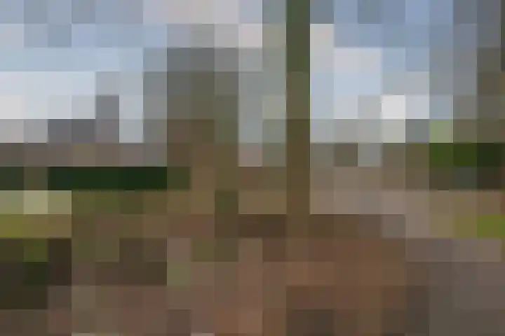 Op de Kamp 33 Broekhuizenvorst thumbnail 50