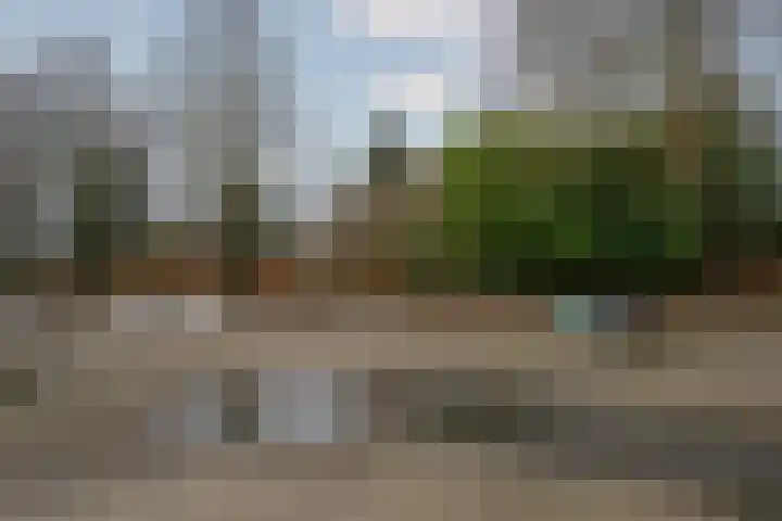 Op de Kamp 33 Broekhuizenvorst thumbnail 51