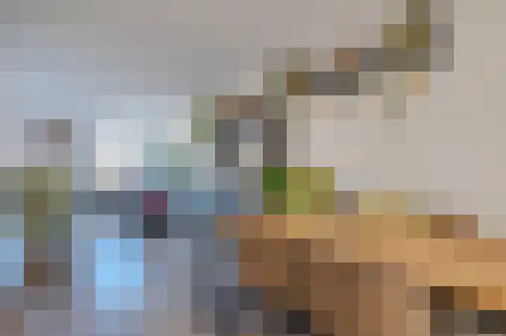 Op de Kamp 33 Broekhuizenvorst thumbnail 6