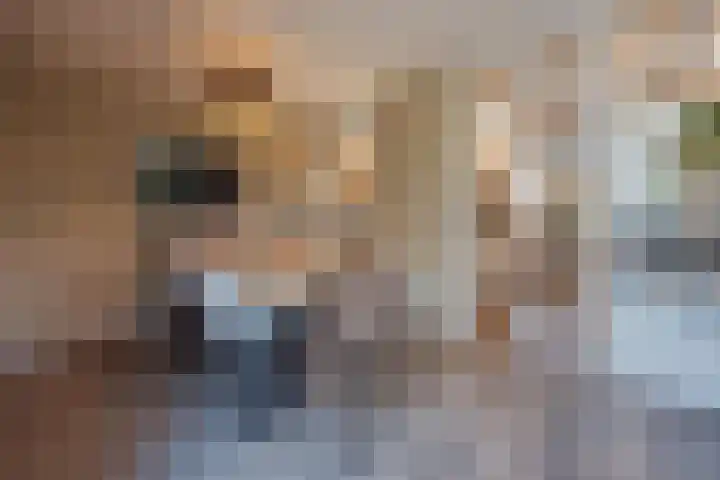 Op de Kamp 45 Broekhuizenvorst thumbnail 17