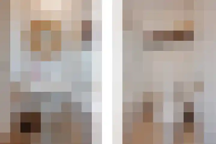 Op de Kamp 45 Broekhuizenvorst thumbnail 29