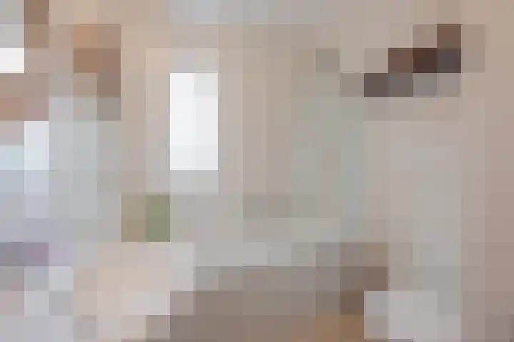 Op de Kamp 45 Broekhuizenvorst thumbnail 30