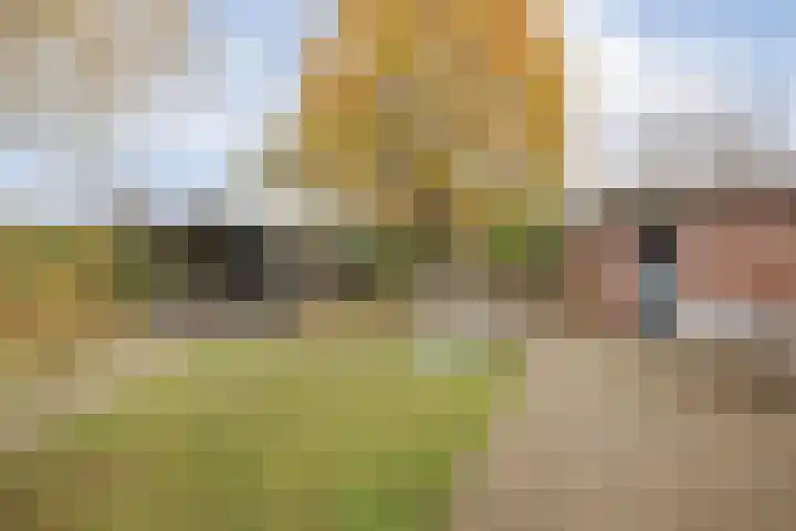 Op de Kamp 45 Broekhuizenvorst thumbnail 35