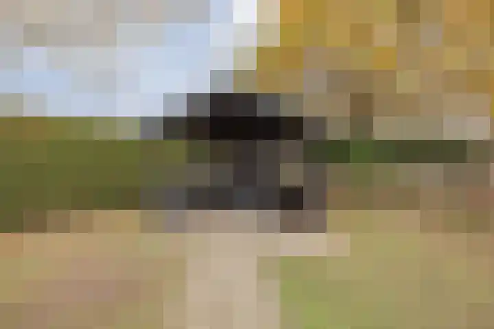 Op de Kamp 45 Broekhuizenvorst thumbnail 36