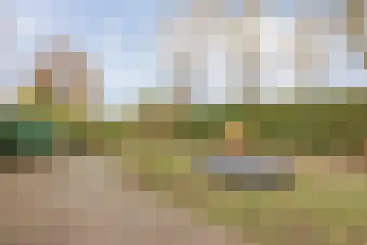 Op de Kamp 45 Broekhuizenvorst thumbnail 42