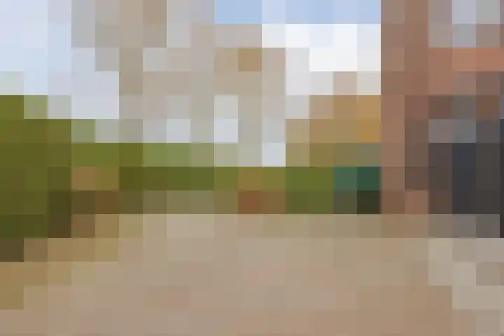 Op de Kamp 45 Broekhuizenvorst thumbnail 43