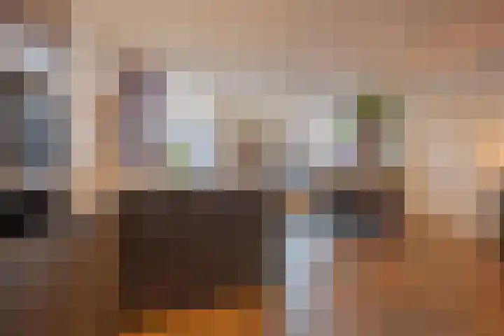 Op de Kamp 47 Broekhuizenvorst thumbnail 19