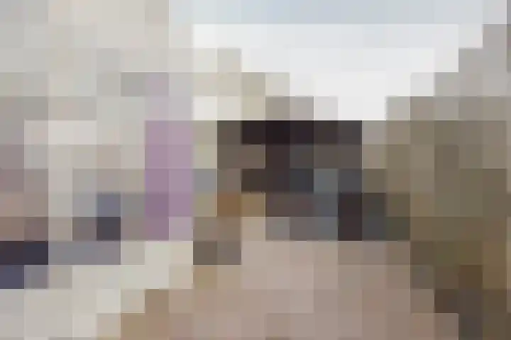 Op de Kamp 47 Broekhuizenvorst thumbnail 37