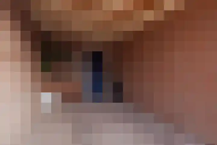 Op de Kamp 47 Broekhuizenvorst thumbnail 39