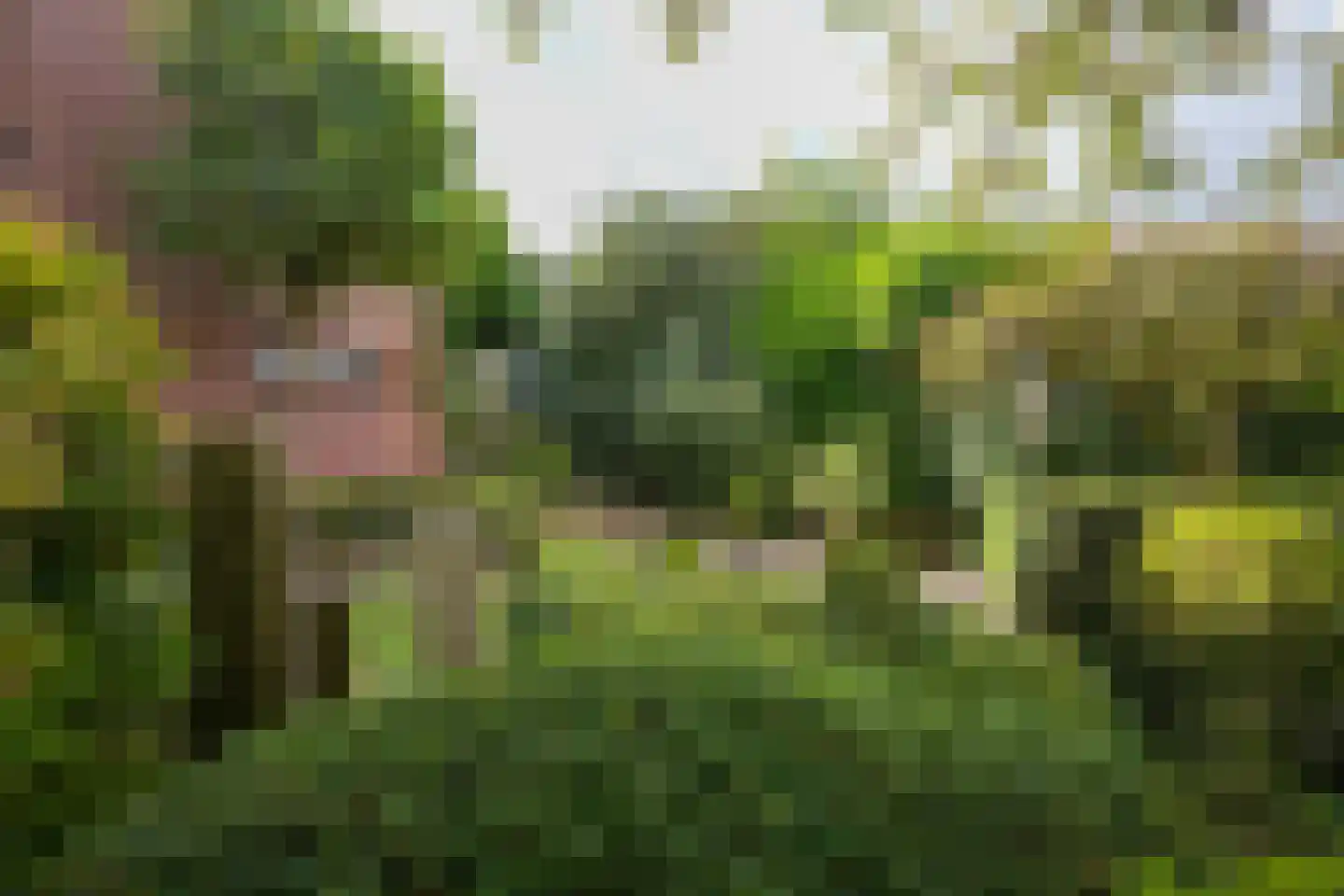 Op de Kamp 9 A Eys thumbnail 35