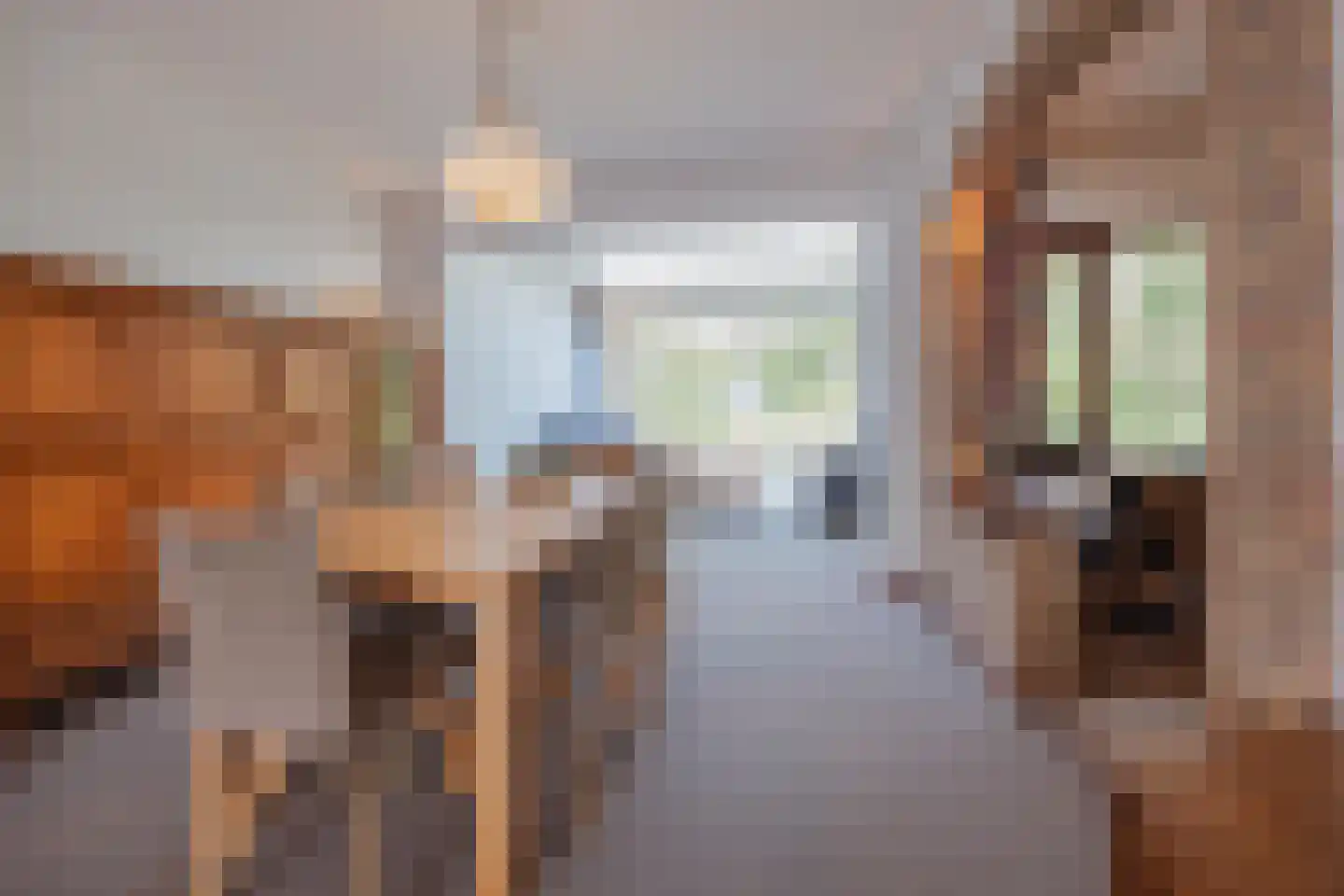 Op de Kanijnskamp 1 Wellerlooi thumbnail 11