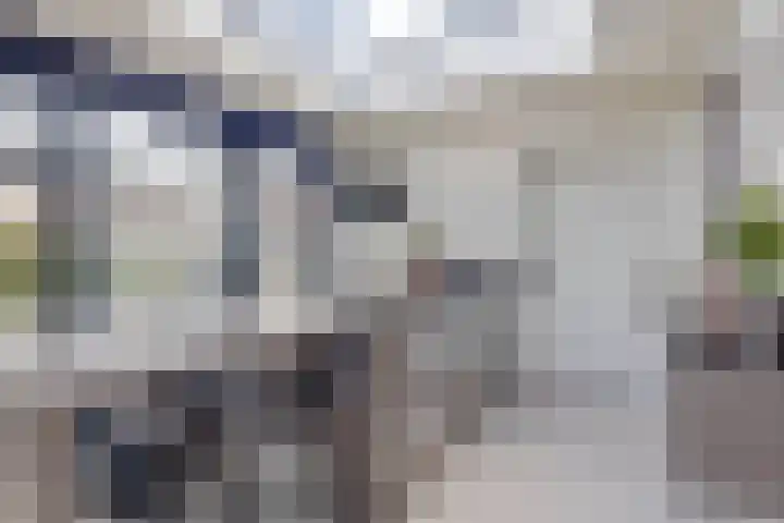 Op de Kasselemeier 16 Nieuwstadt thumbnail 22