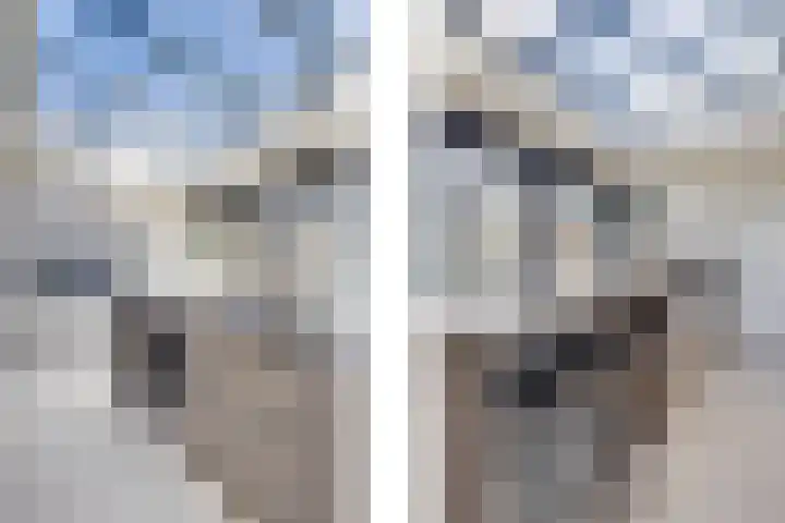 Op de Kasselemeier 16 Nieuwstadt thumbnail 25
