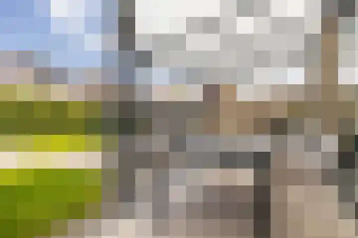 Op de Kasselemeier 16 Nieuwstadt thumbnail 40