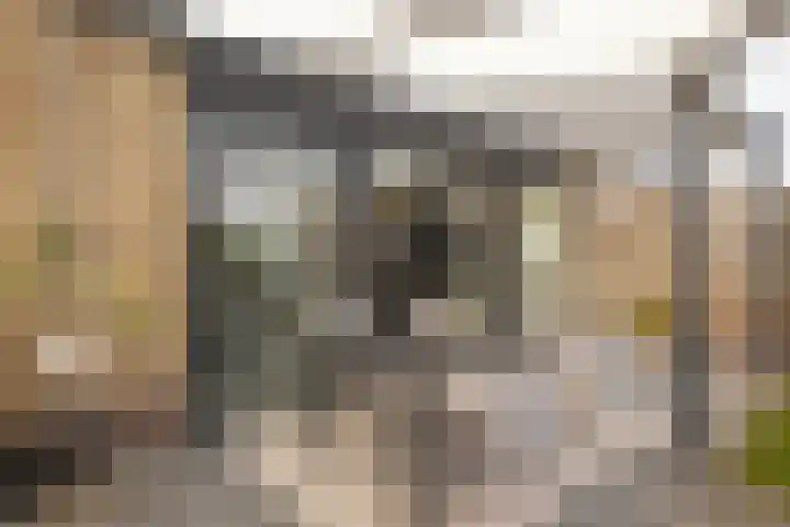 Op de Kasselemeier 16 Nieuwstadt thumbnail 44