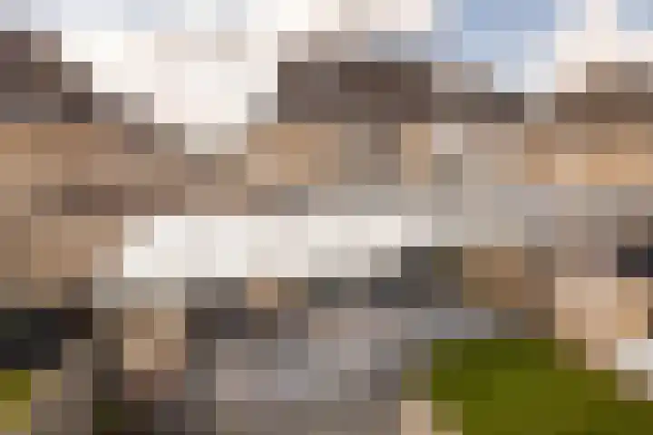 Op de Kasselemeier 16 Nieuwstadt thumbnail 45