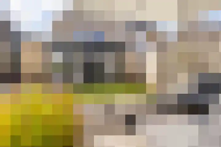 Op de Kasselemeier 16 Nieuwstadt thumbnail 6