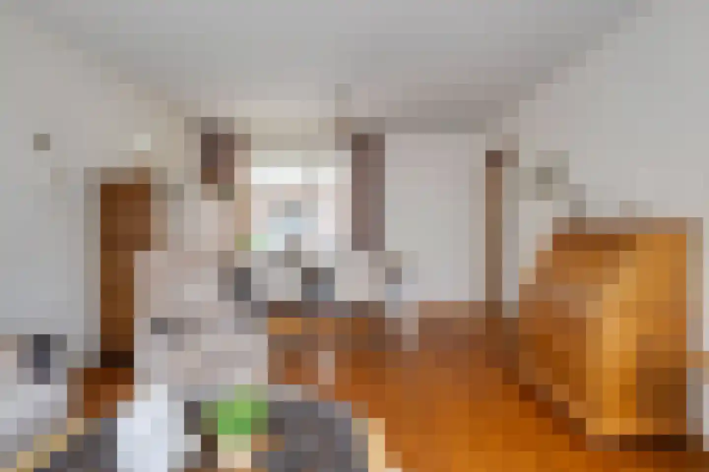 Op de Kemp 24 Maasbree thumbnail 13