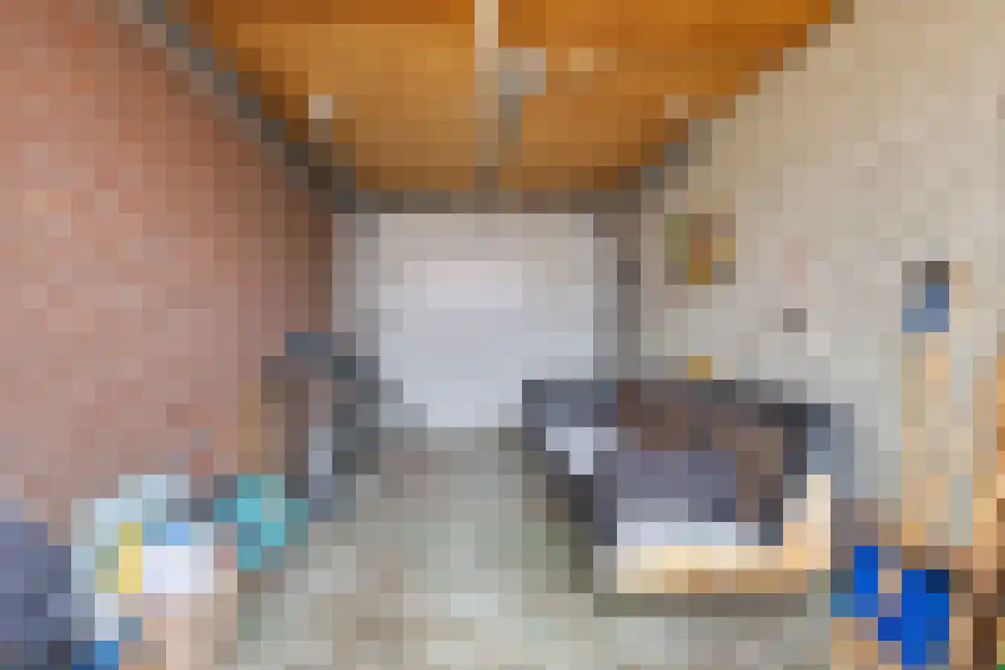 Op de Kemp 24 Maasbree thumbnail 41