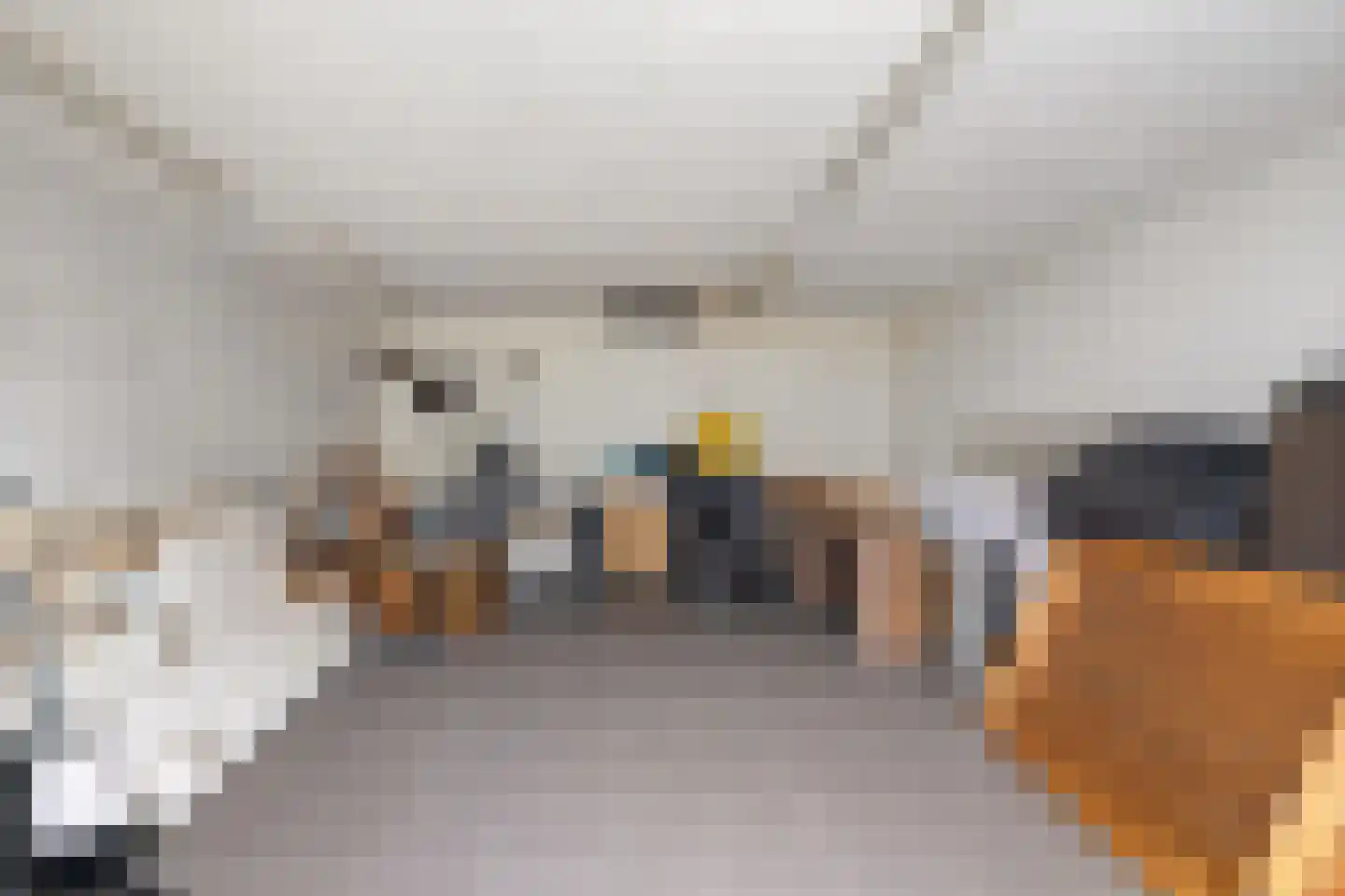 Op de Kemp 24 Maasbree thumbnail 43
