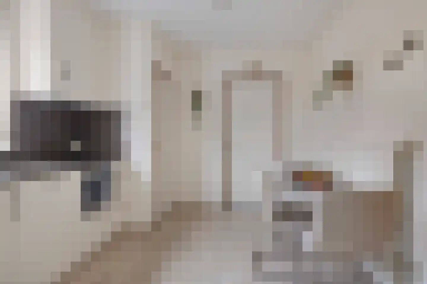 Op de Kemp 24 Maasbree thumbnail 8