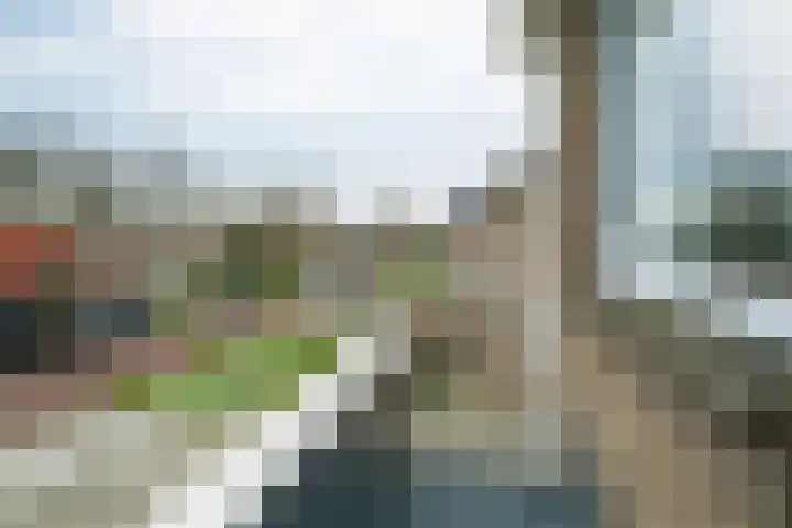 Op de Keppels 20 Dokkum thumbnail 23
