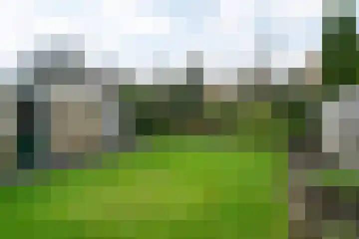 Op de Keppels 20 Dokkum thumbnail 30
