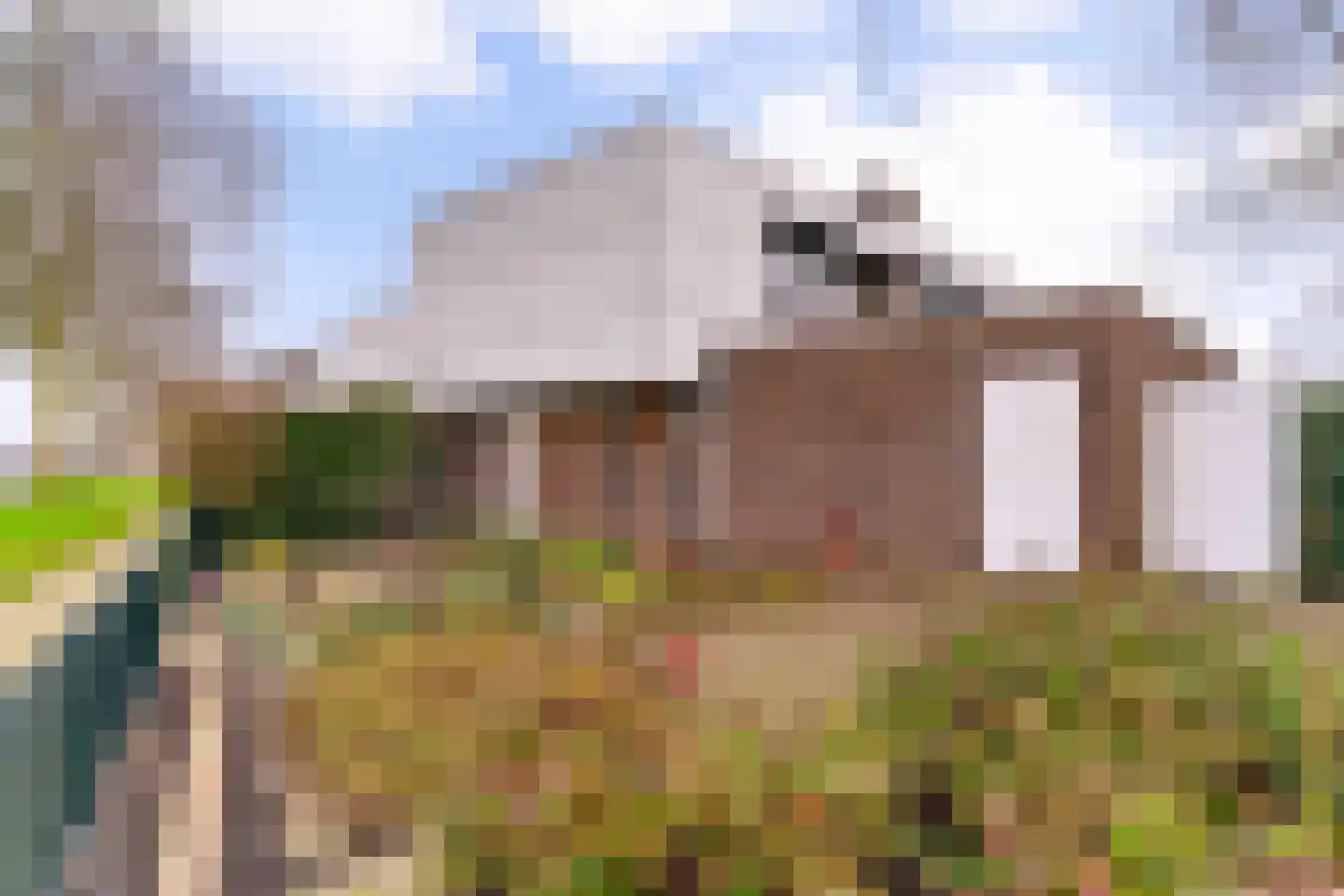 Op de Klucht 16 Uithoorn thumbnail 4