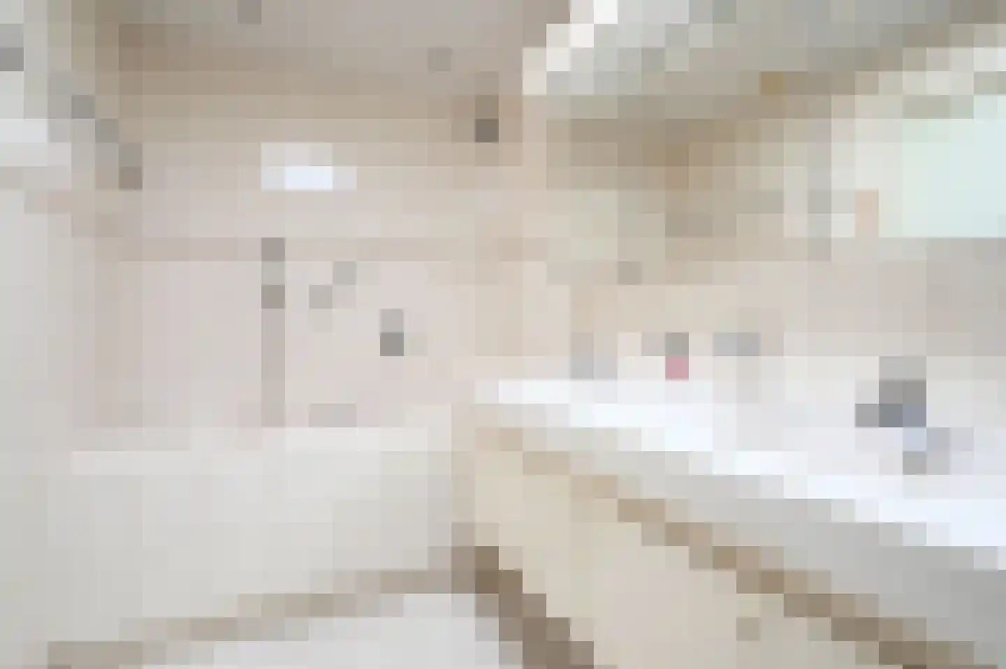 Op de Klucht 6 Uithoorn thumbnail 14