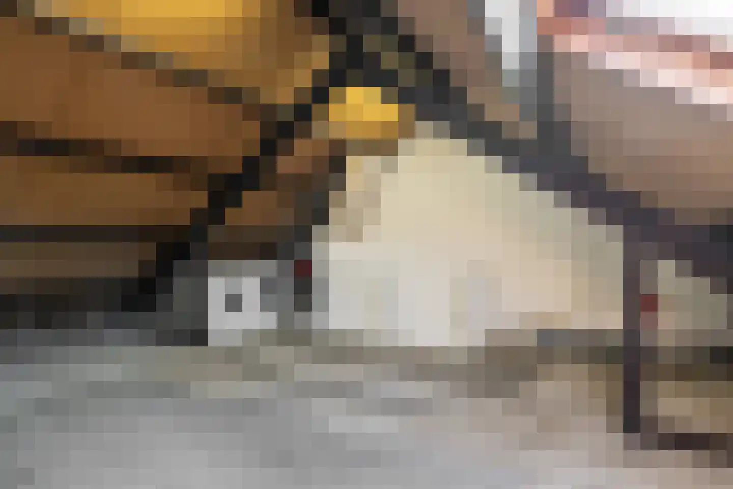 Op de Knip 159 Kerkrade thumbnail 16