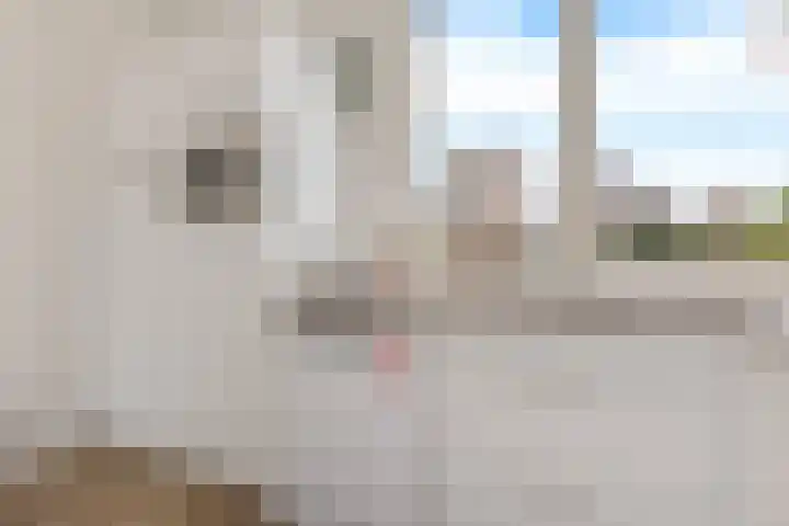 Op de Knip 160 Kerkrade thumbnail 10