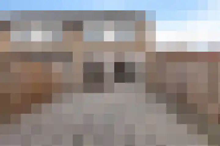 Op de Knip 160 Kerkrade thumbnail 34