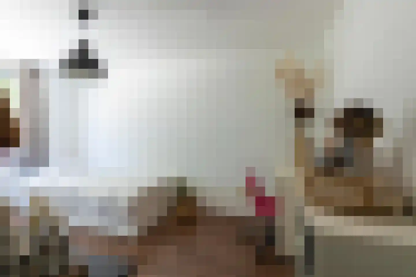 Op de Knip 179 Kerkrade thumbnail 16
