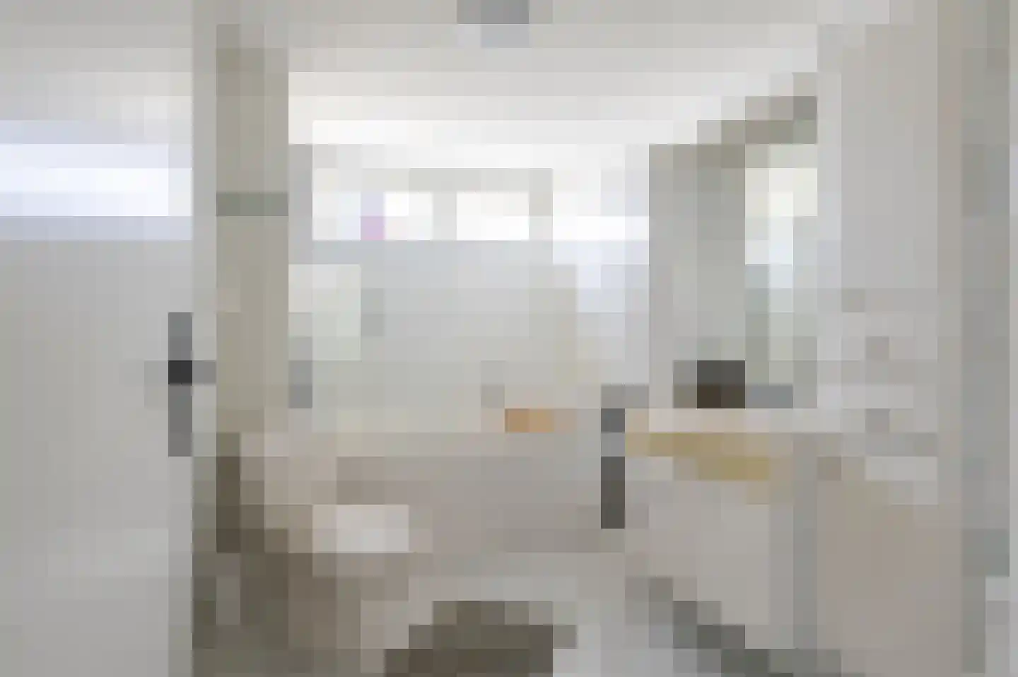 Op de Knip 179 Kerkrade thumbnail 19