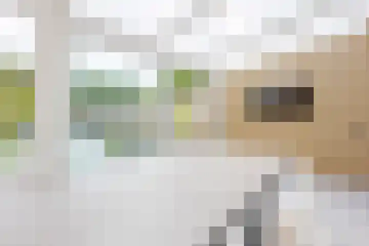 Op de Knip 187 Kerkrade thumbnail 20