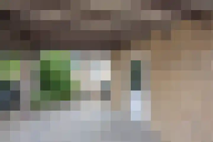 Op de Knip 187 Kerkrade thumbnail 23