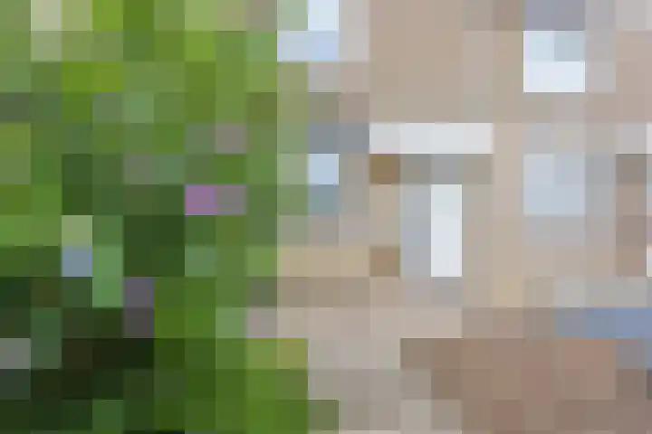 Op de Knip 187 Kerkrade thumbnail 24