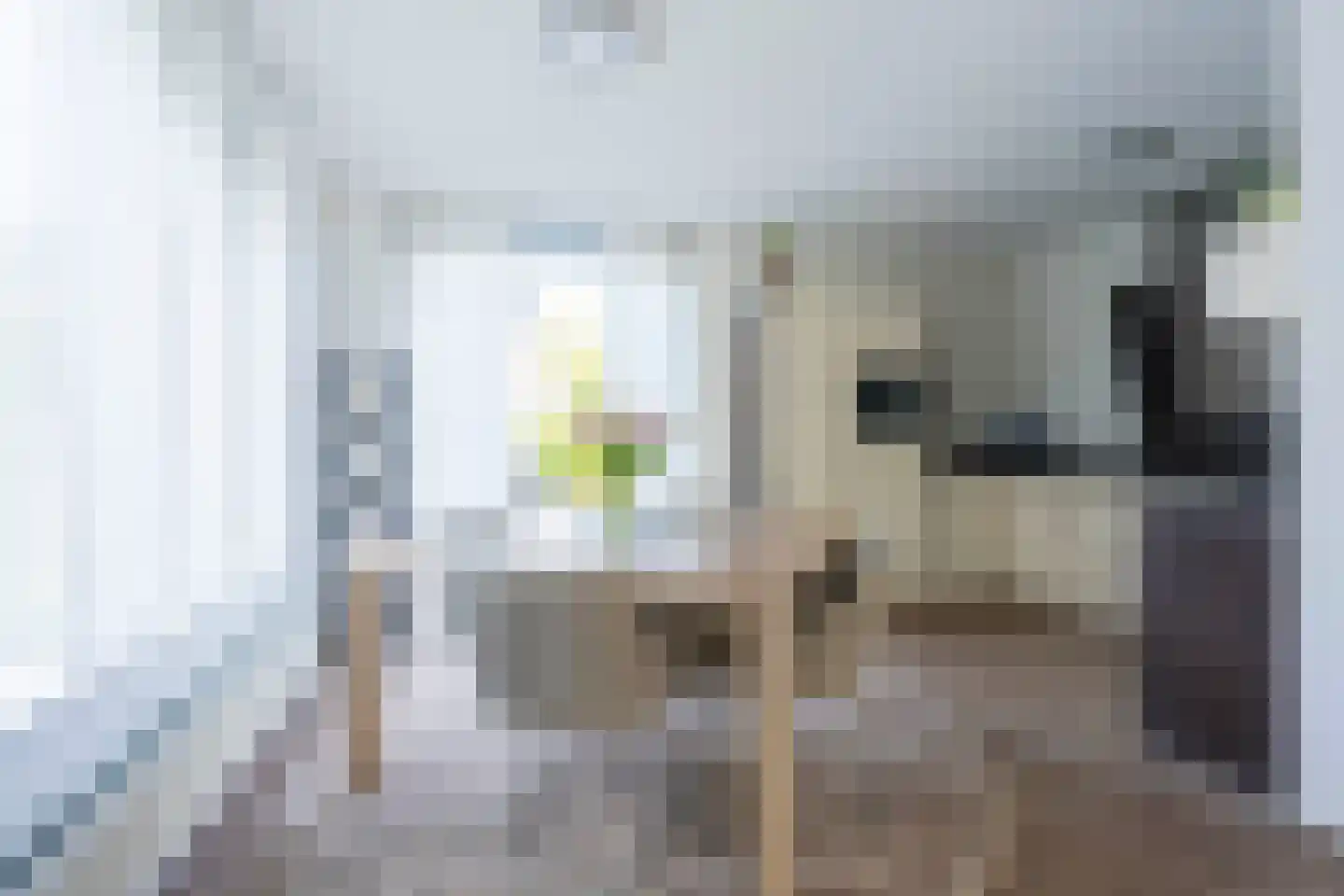 Op de Knip 211 Kerkrade thumbnail 7