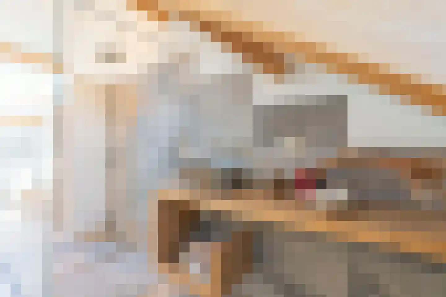 Op de Knip 70 Kerkrade thumbnail 15
