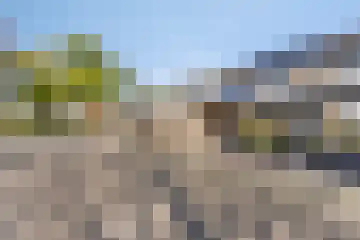 Op de Knip 73 Kerkrade thumbnail 37